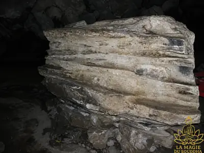 fossile sacre de nagas